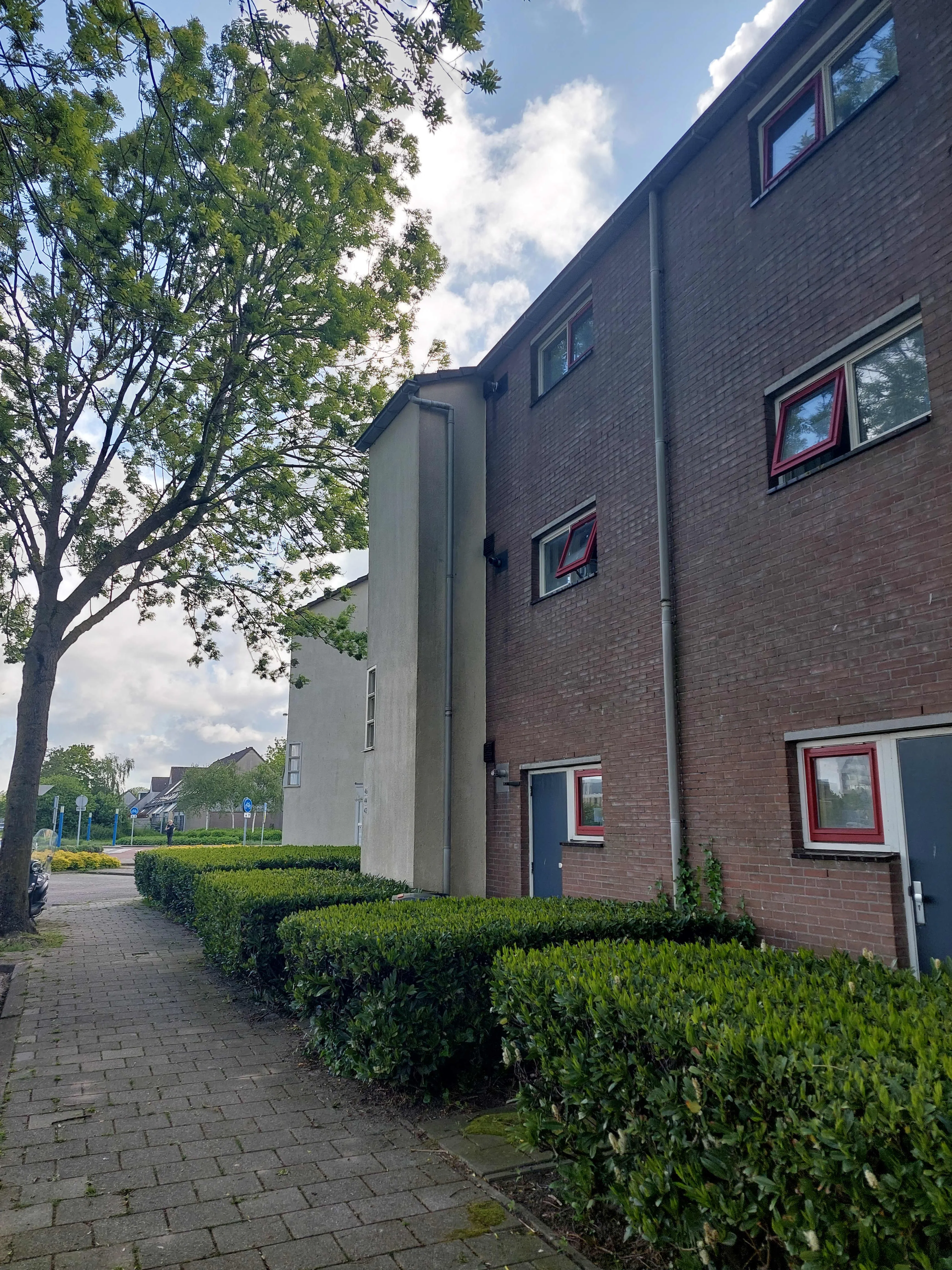 Tolheksbos