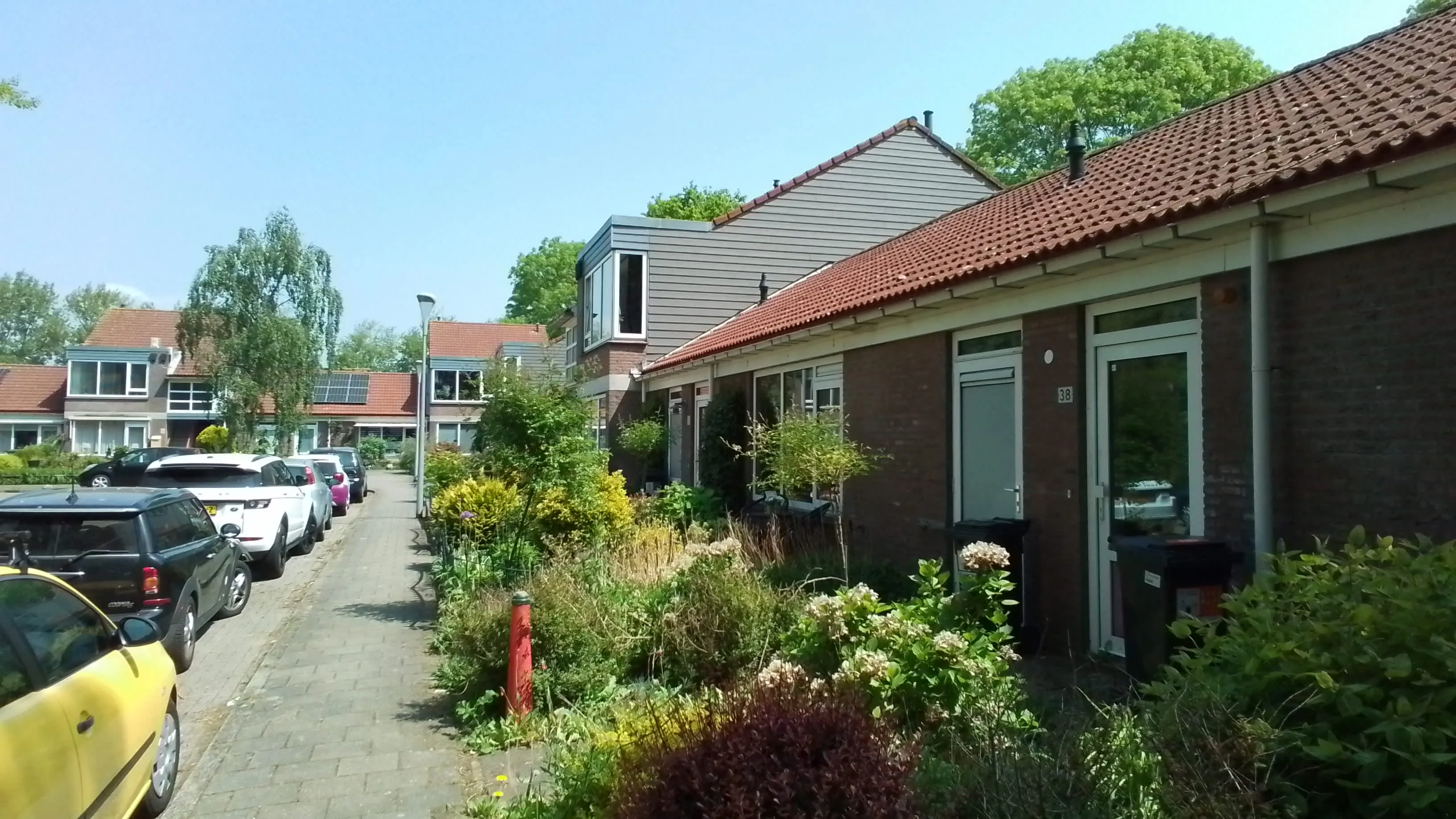 Waterlelieplantsoen