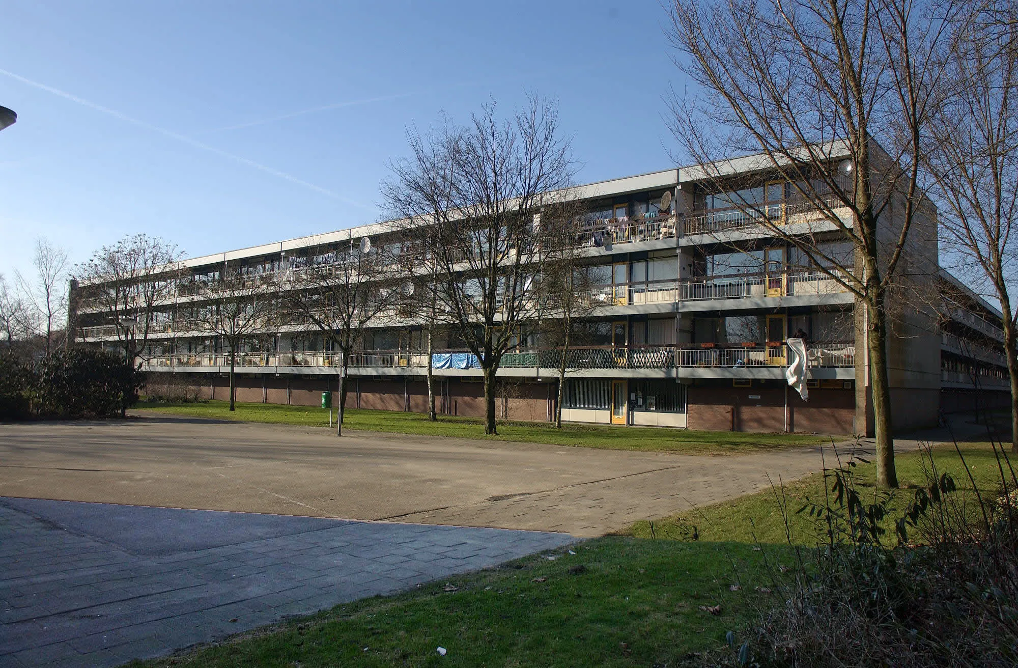 Kamperfoeliestraat