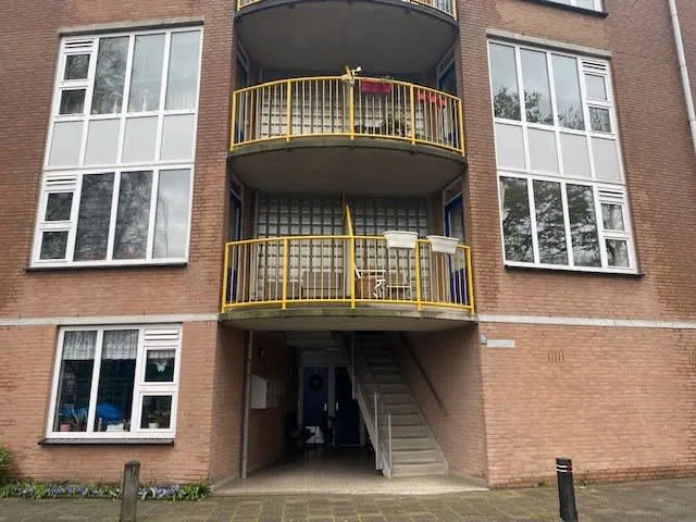 Hazenveld