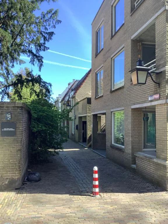Zilverstraat
