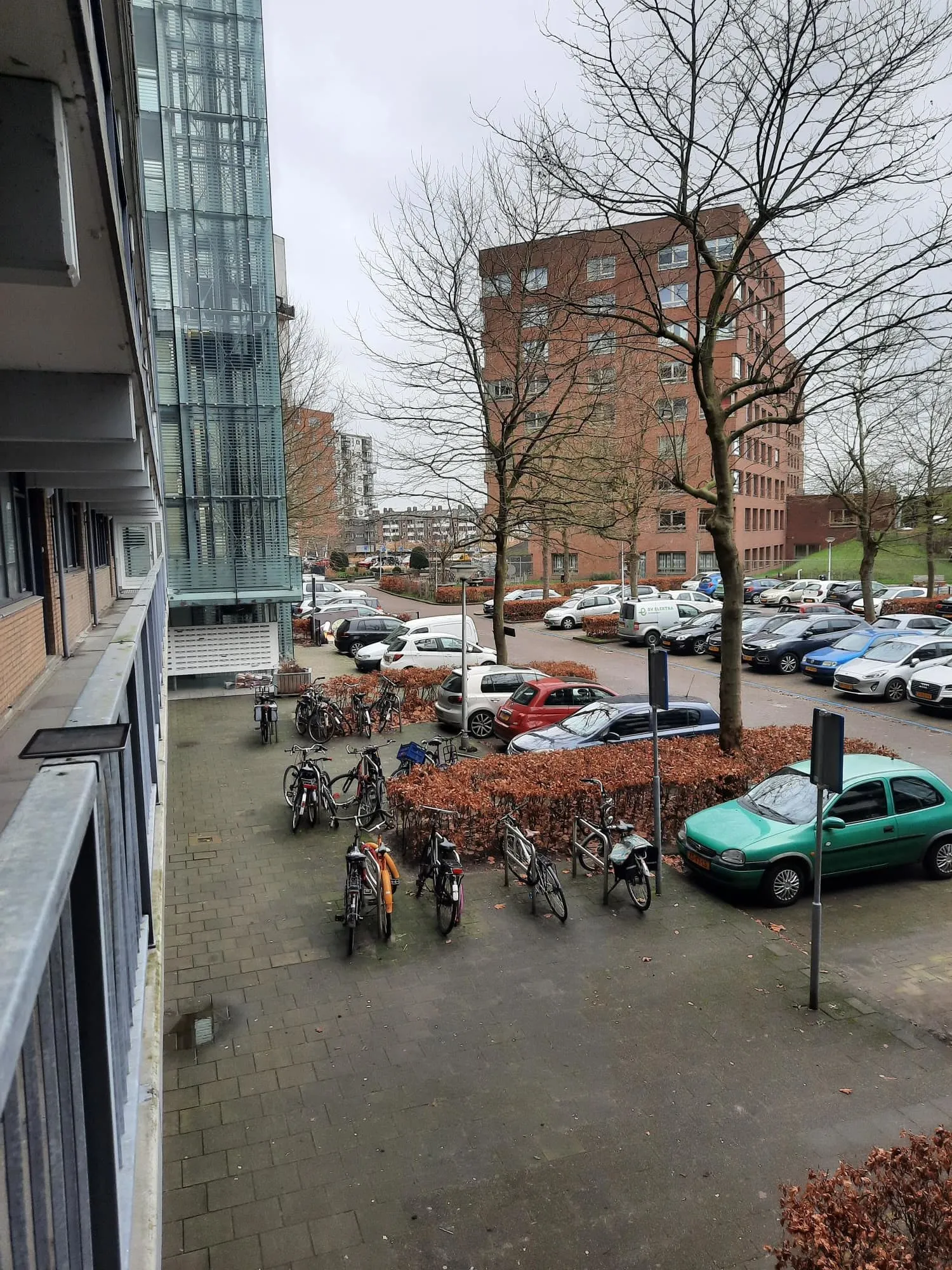 Beukenhorst