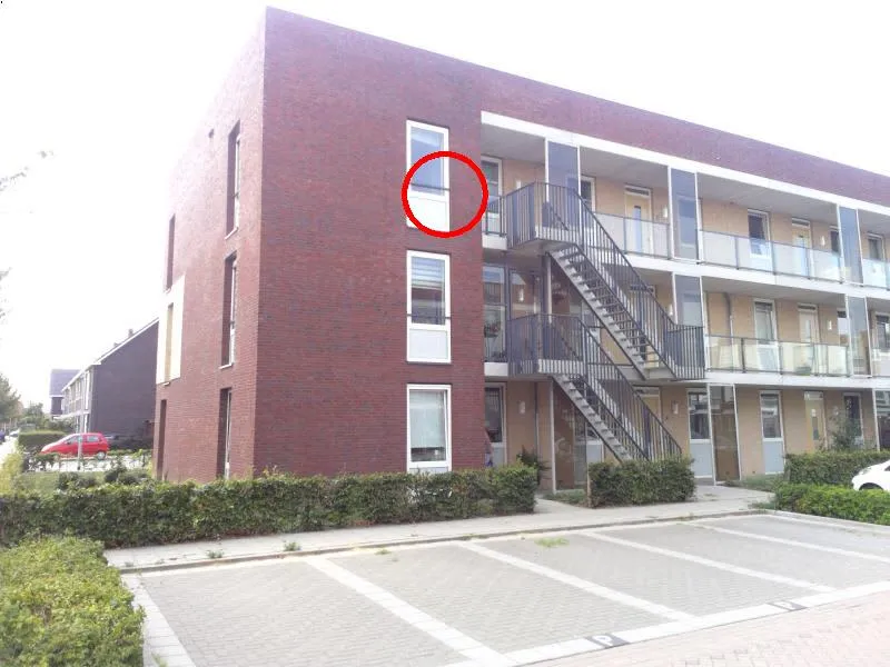 Grote Vos