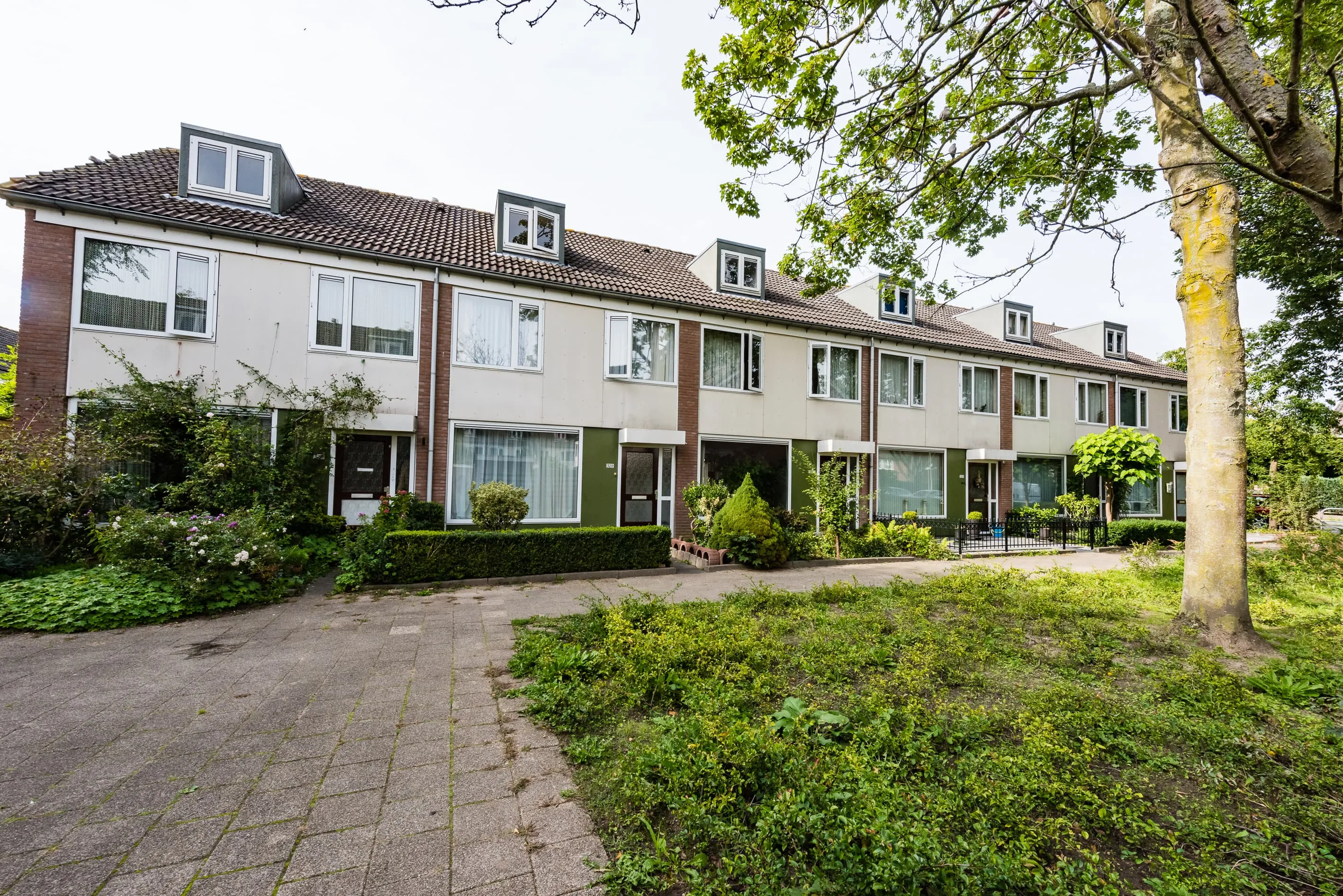 Couwenhoven