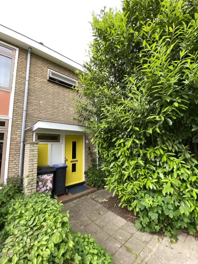 Rembrandtstraat