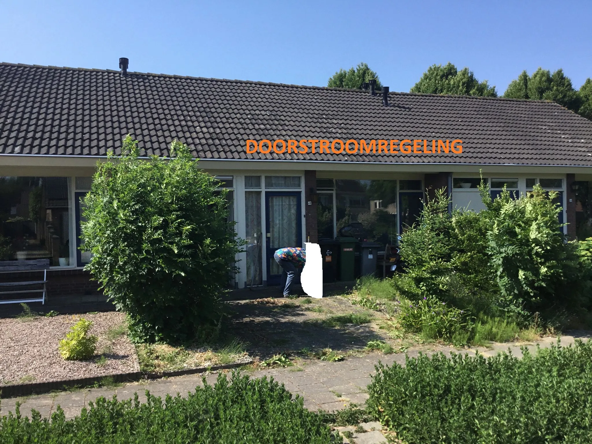 Korenbloemstraat