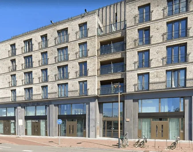 Grauwaartsingel