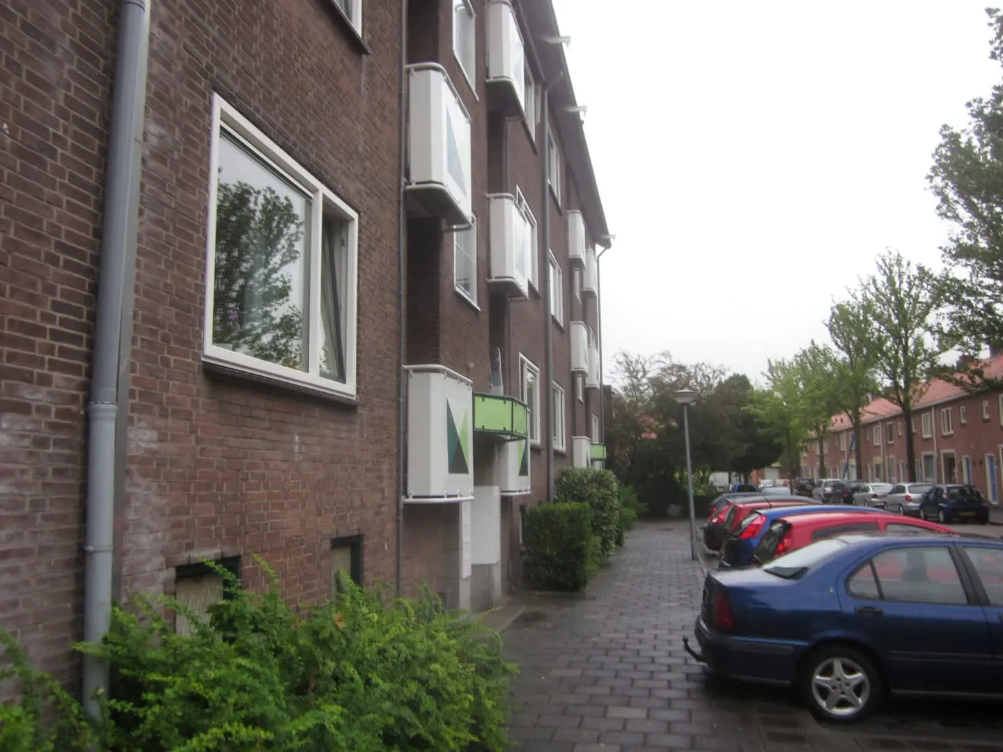 Lijns Tewisz Roggeplein