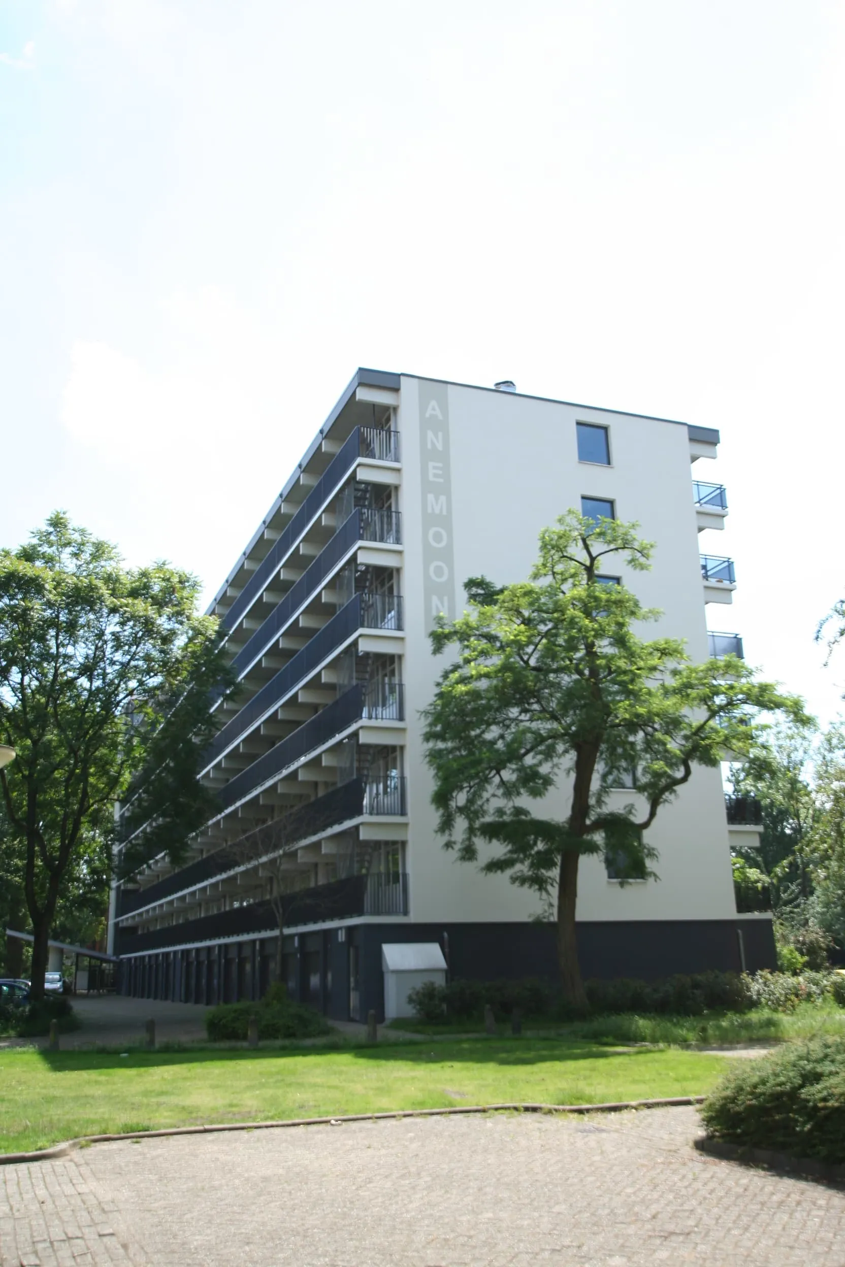 Asterstraat
