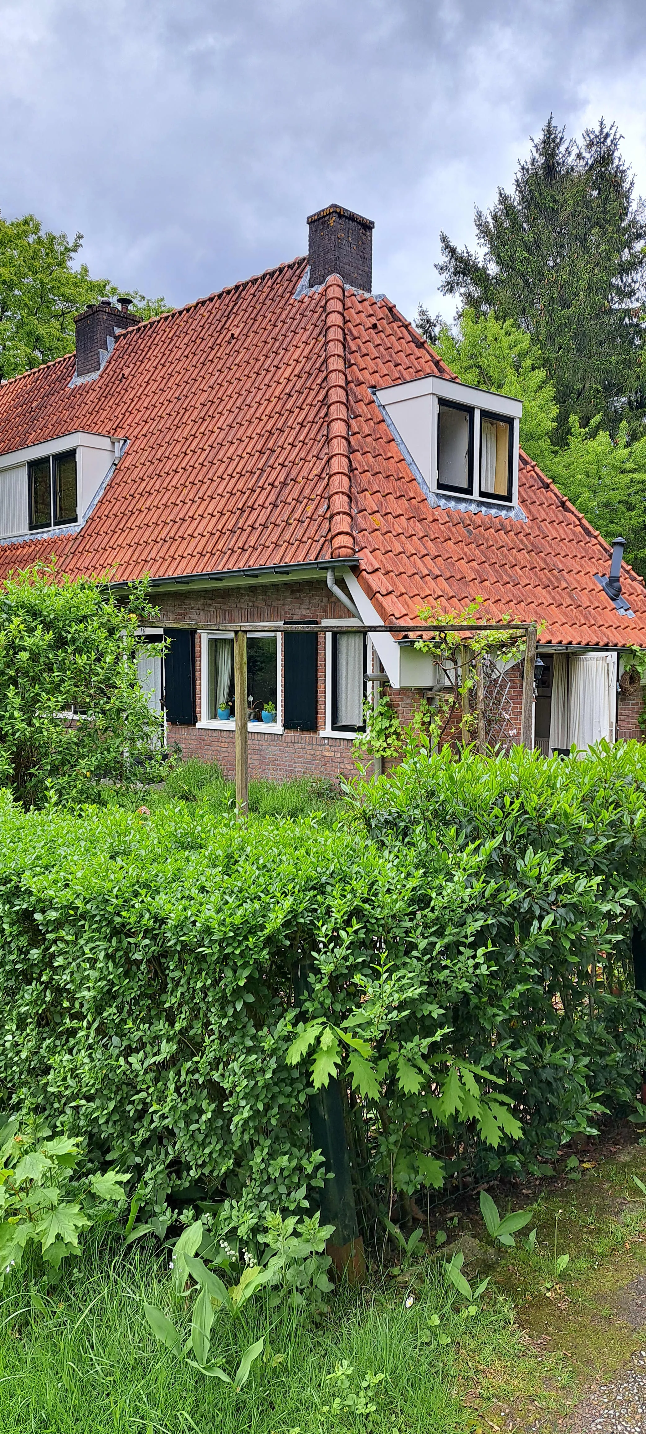 Schoollaan