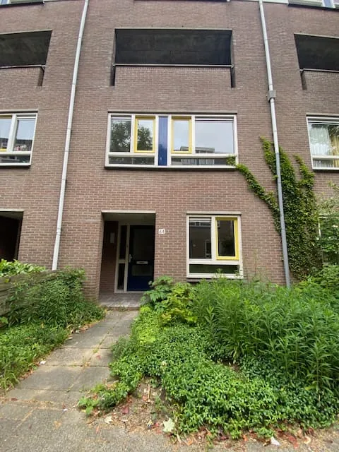 Opsterland