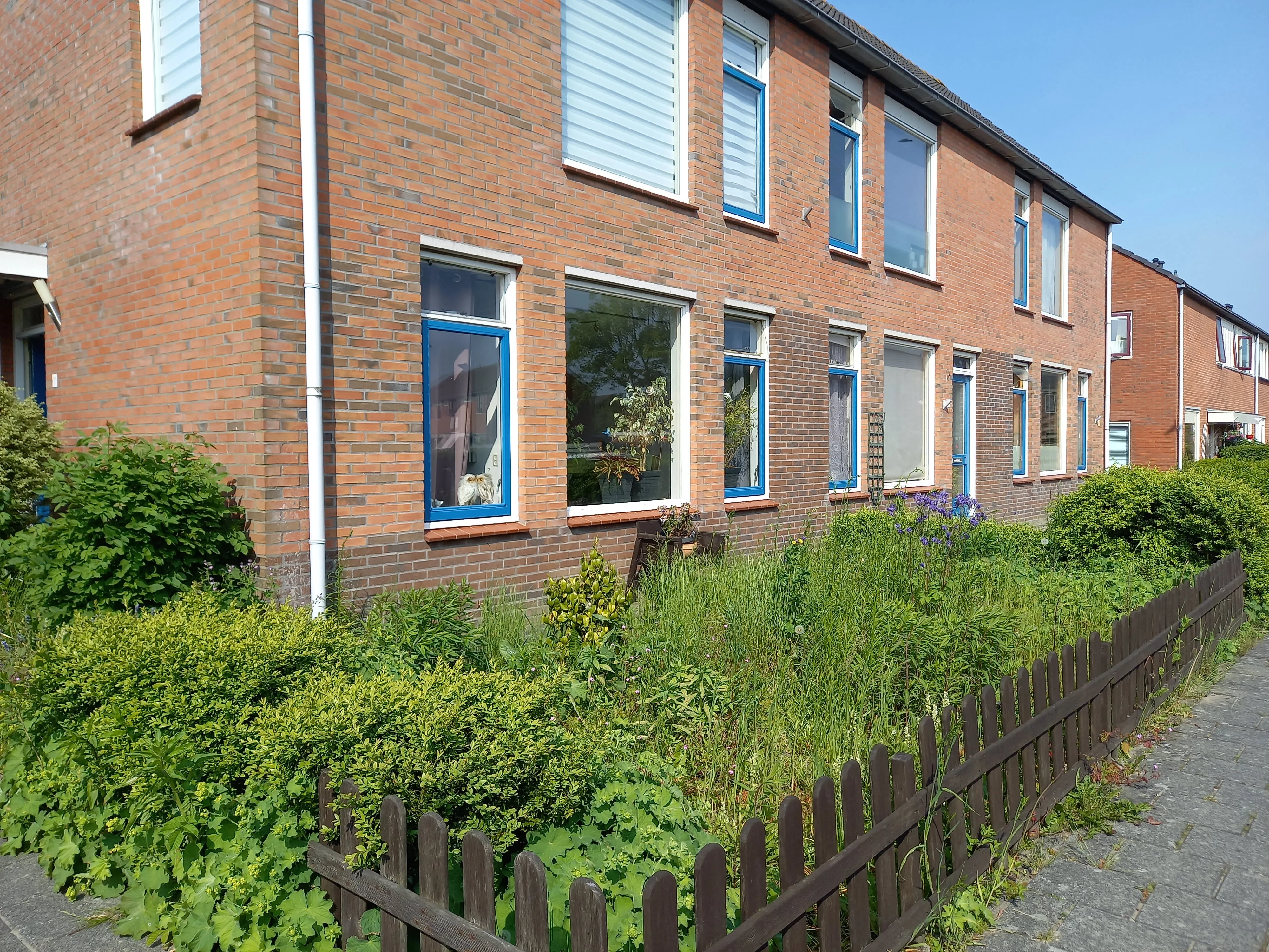 Lange Akker