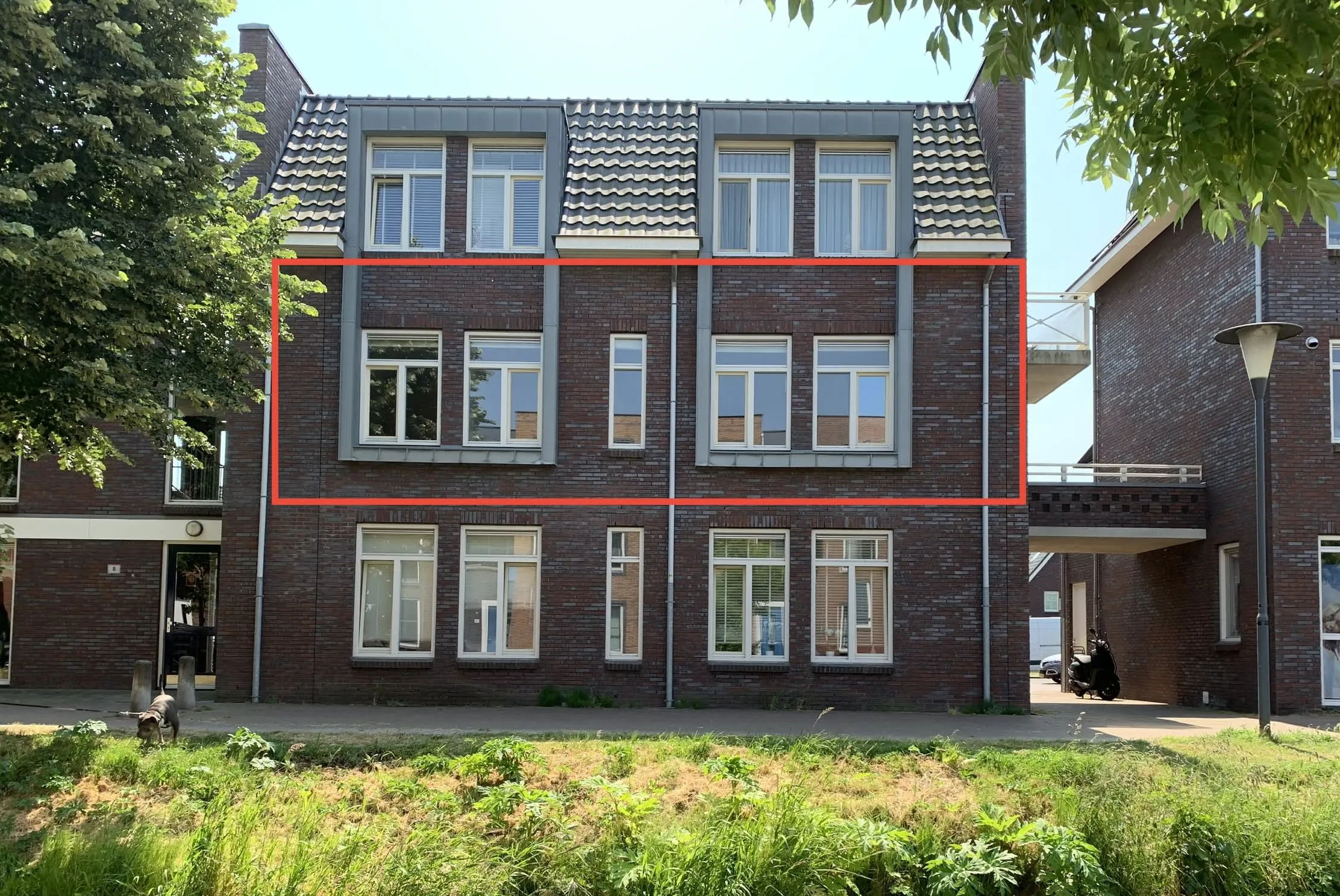 Koningsstraat
