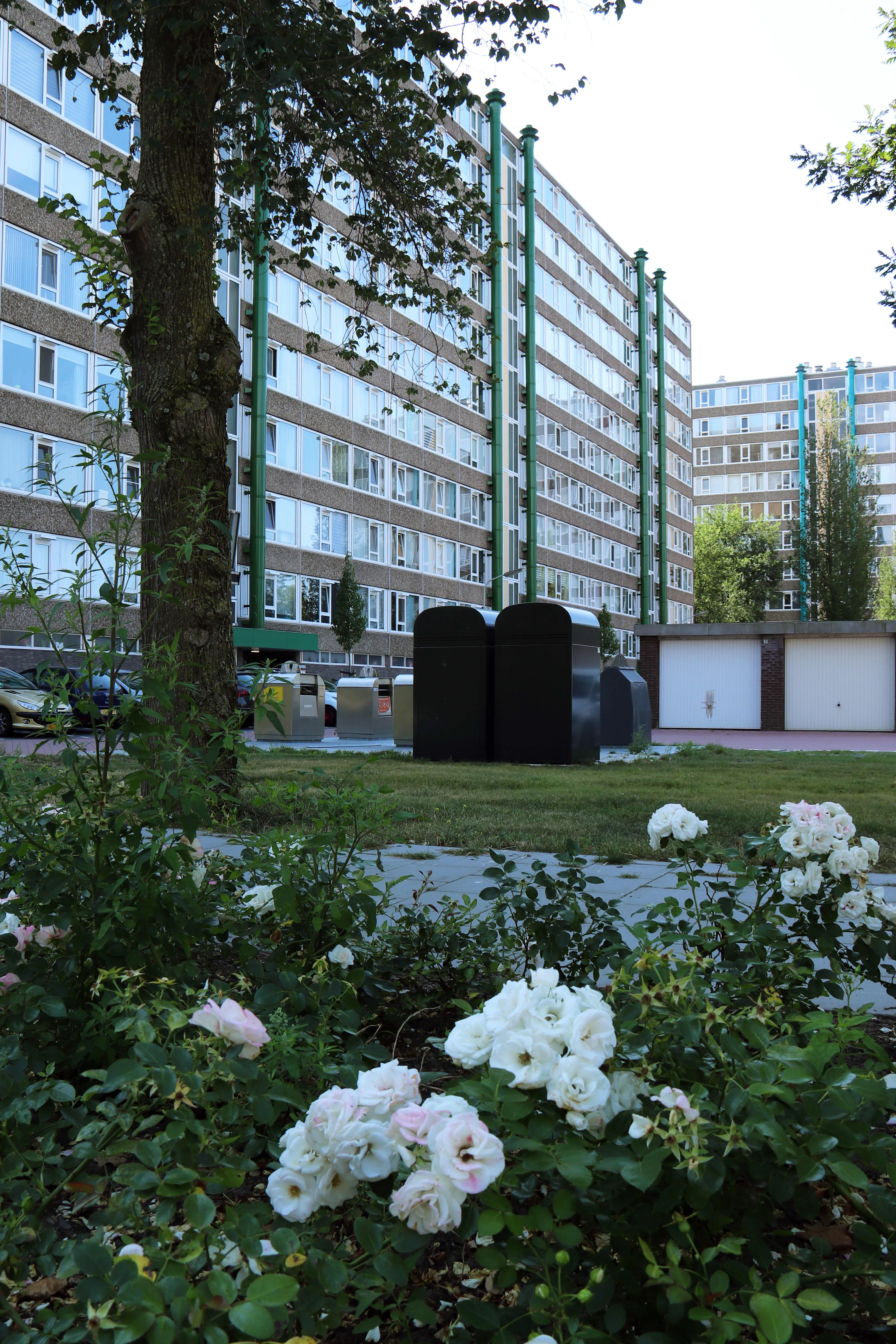 Gerard van Lomstraat