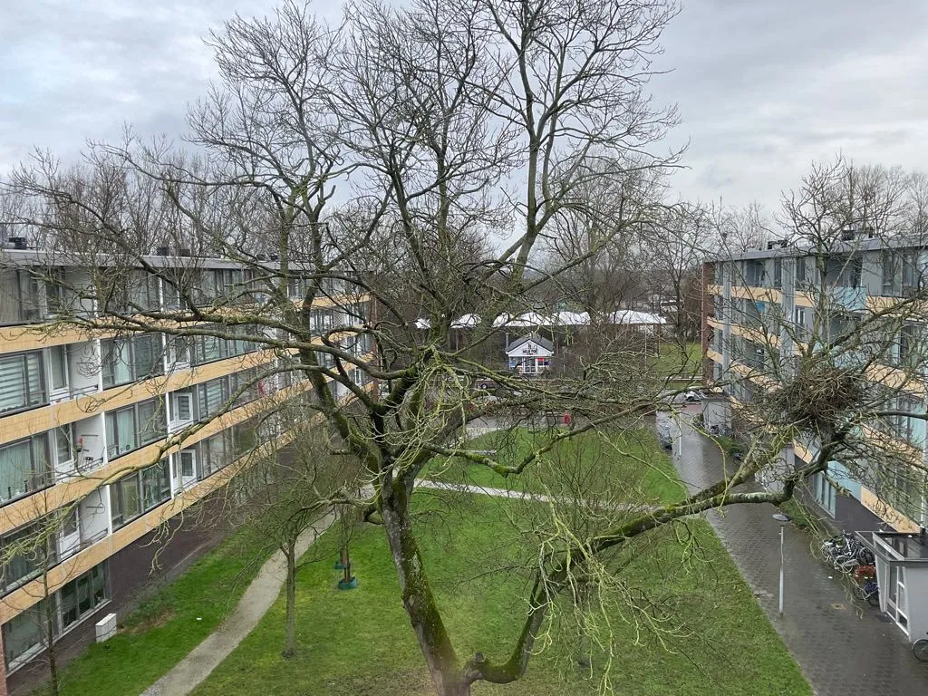 Oudemansstraat 88 1504KP Zaandam