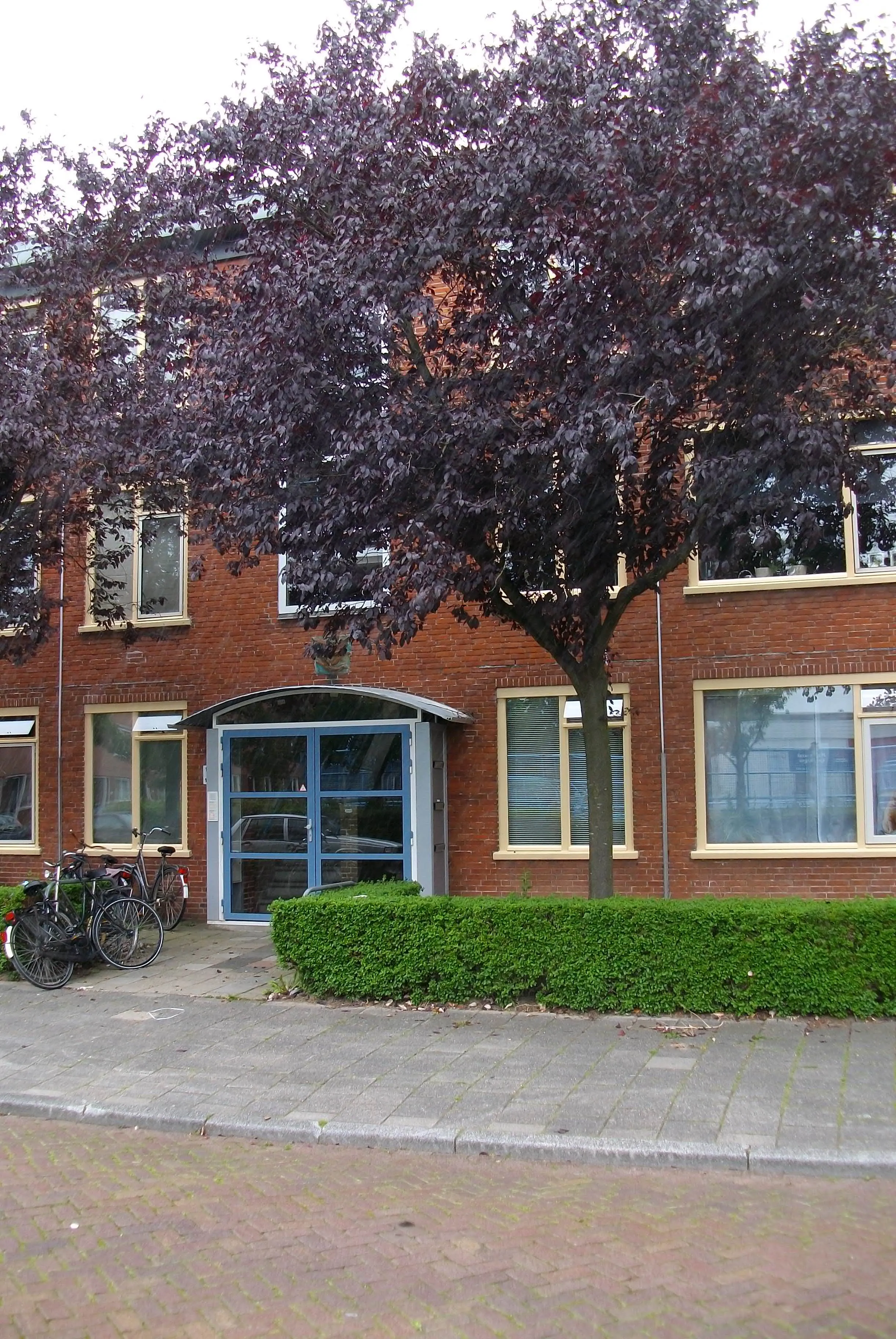 Van Slingelandtstraat