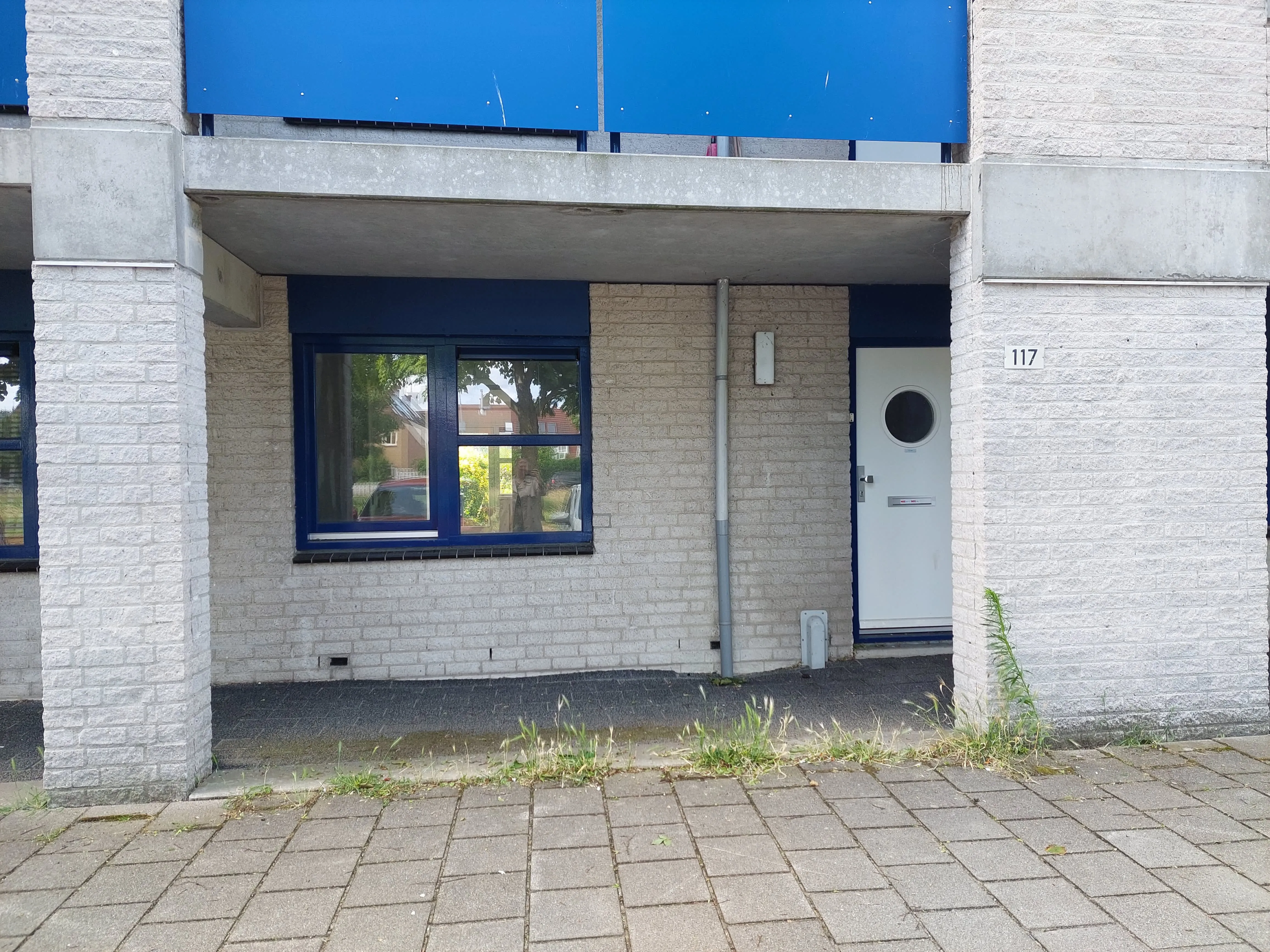 Steinerbos