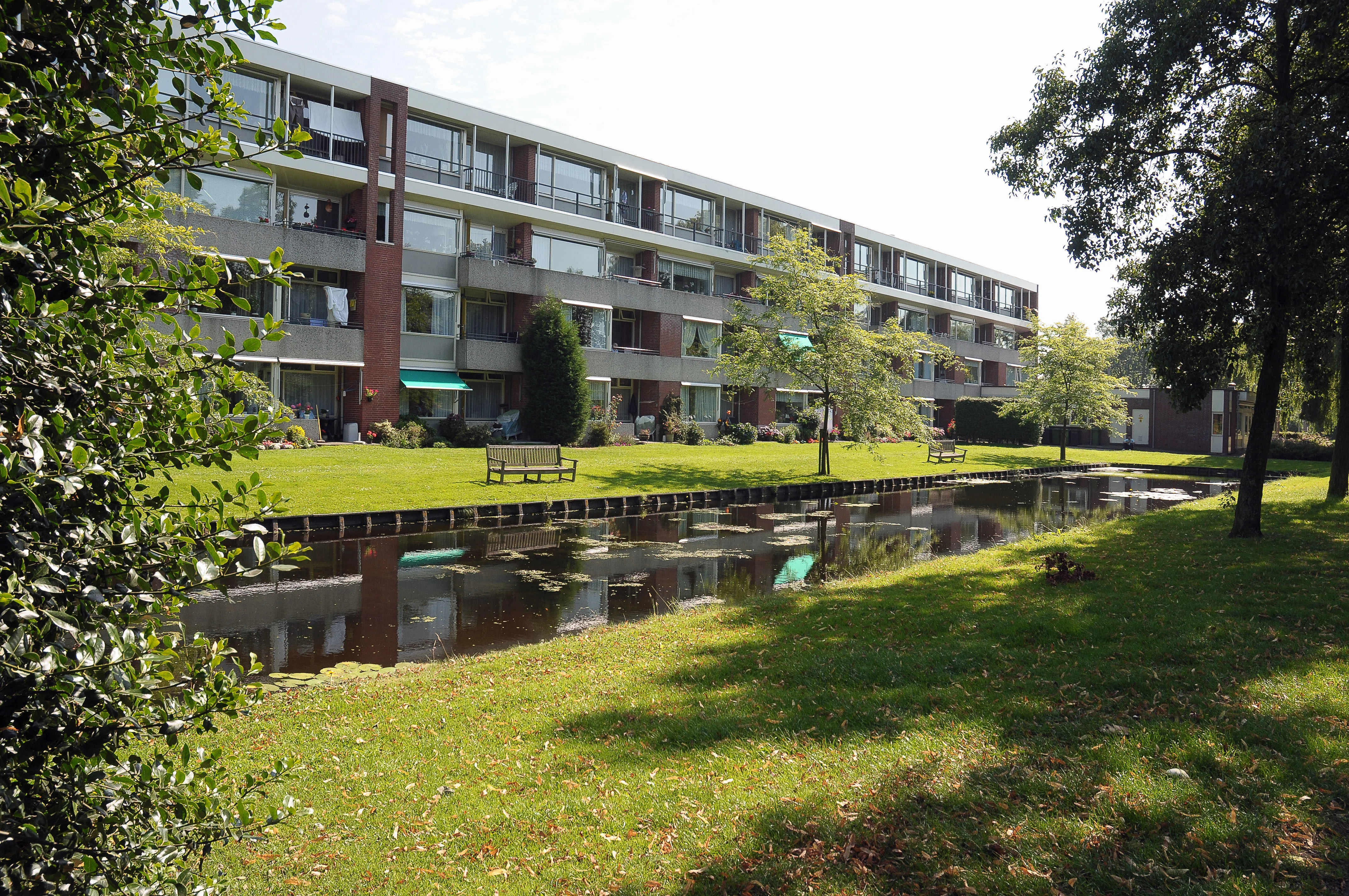 Rijngaarde