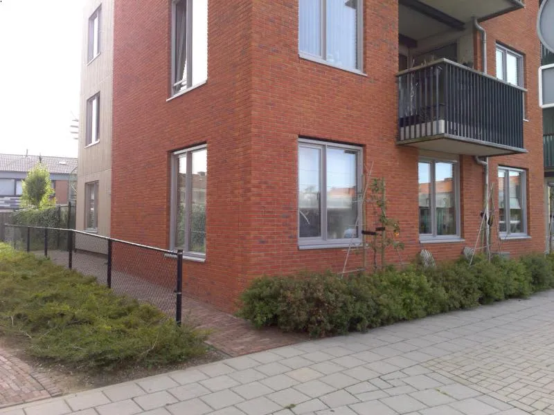 Meeuwstraat