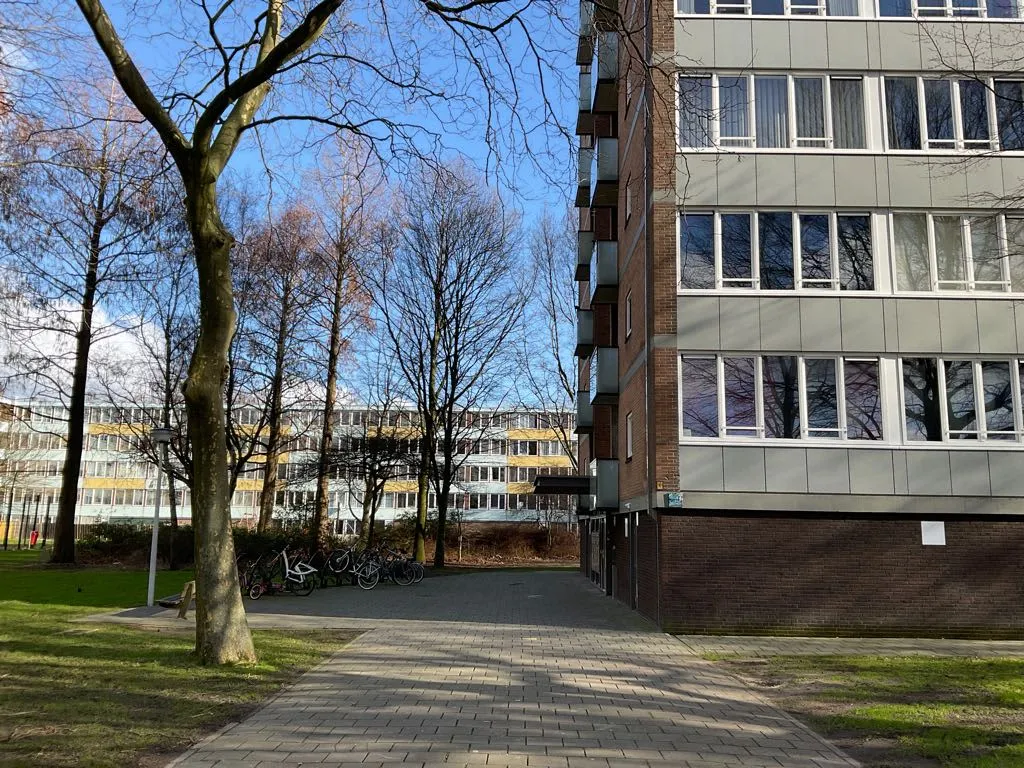 Jaspersstraat
