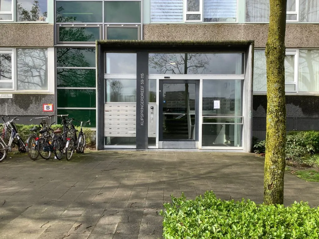 Klipspringerdreef