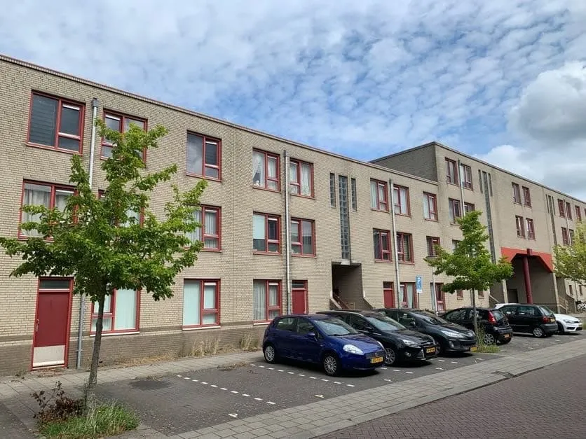 Blokschaaf