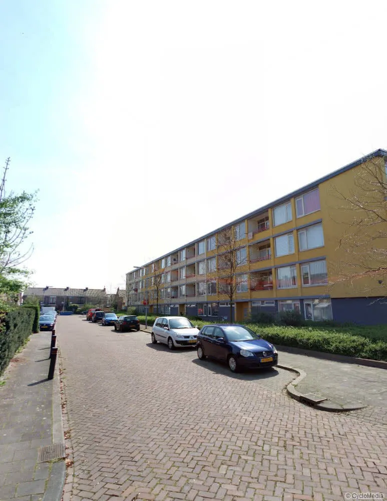 Langeraarstraat