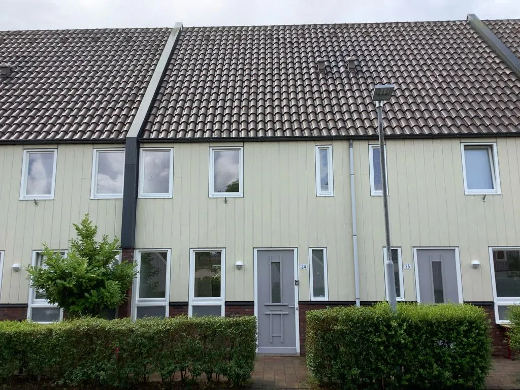 Agaatvlindersingel