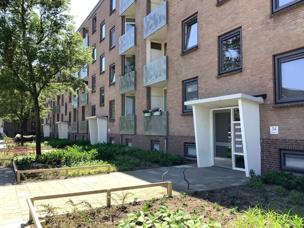 De Savornin Lohmanweg