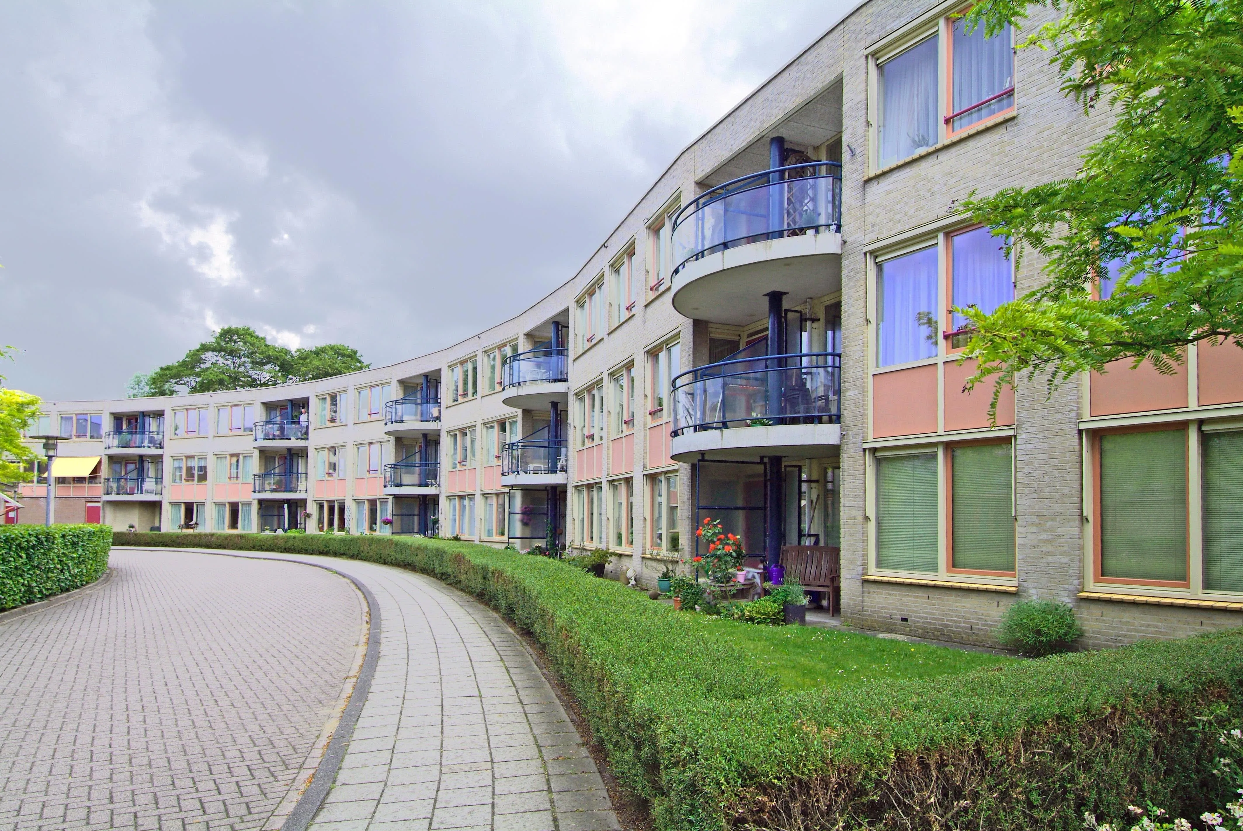 Witte van Haemstedelaan
