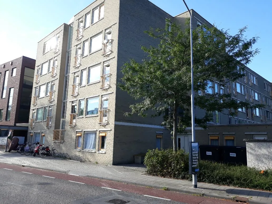 Rijnstraat