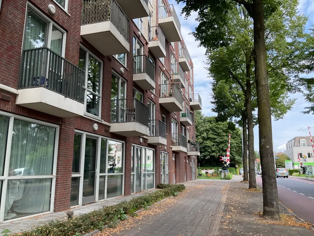 Lingedijk