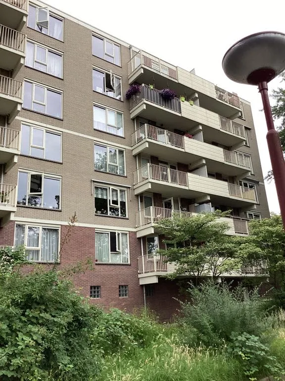 Middelmonde