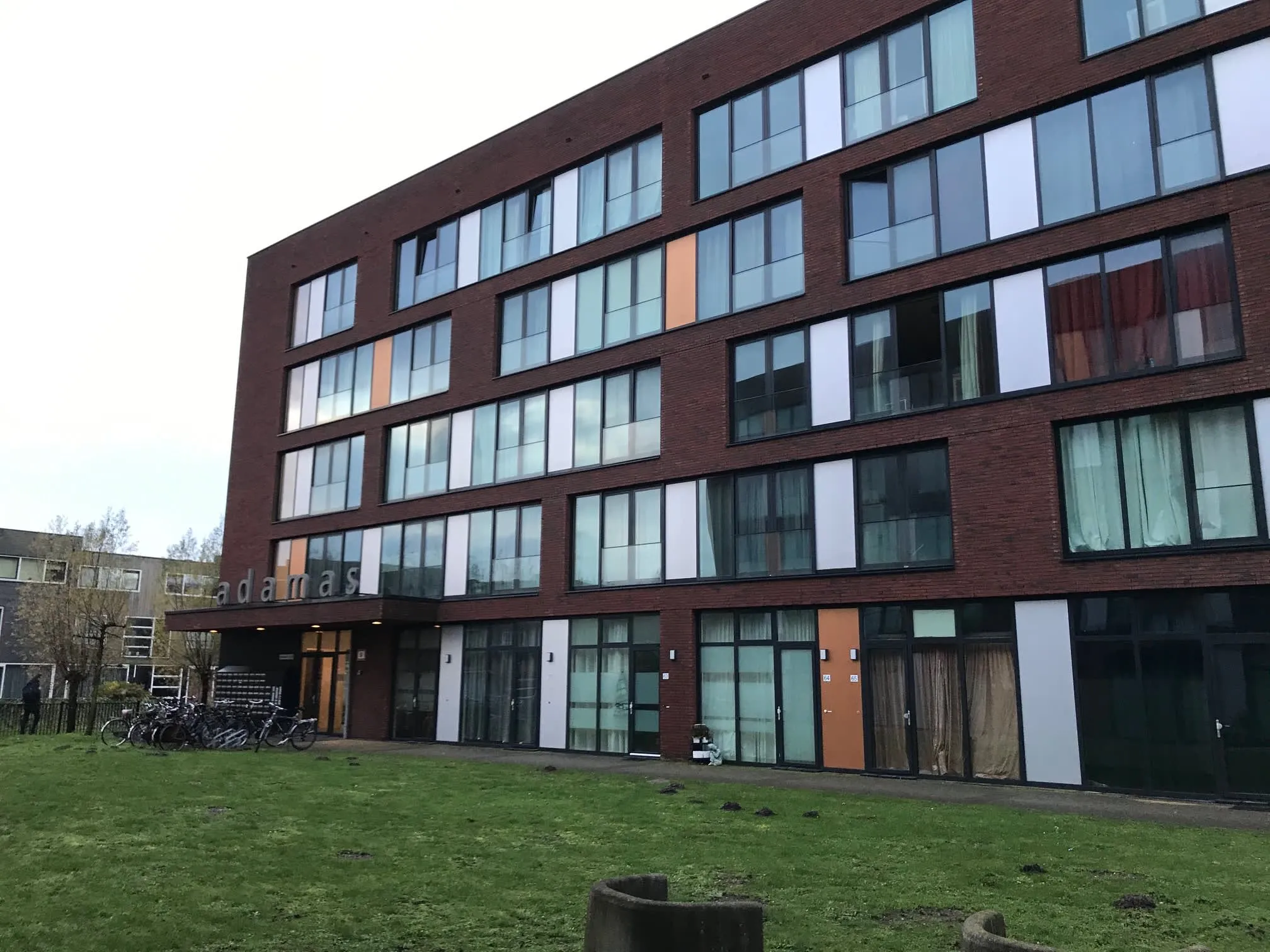 Amberhout