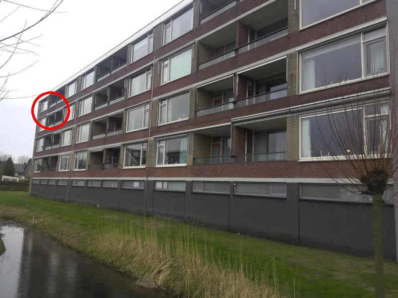 Neerijnenlaan