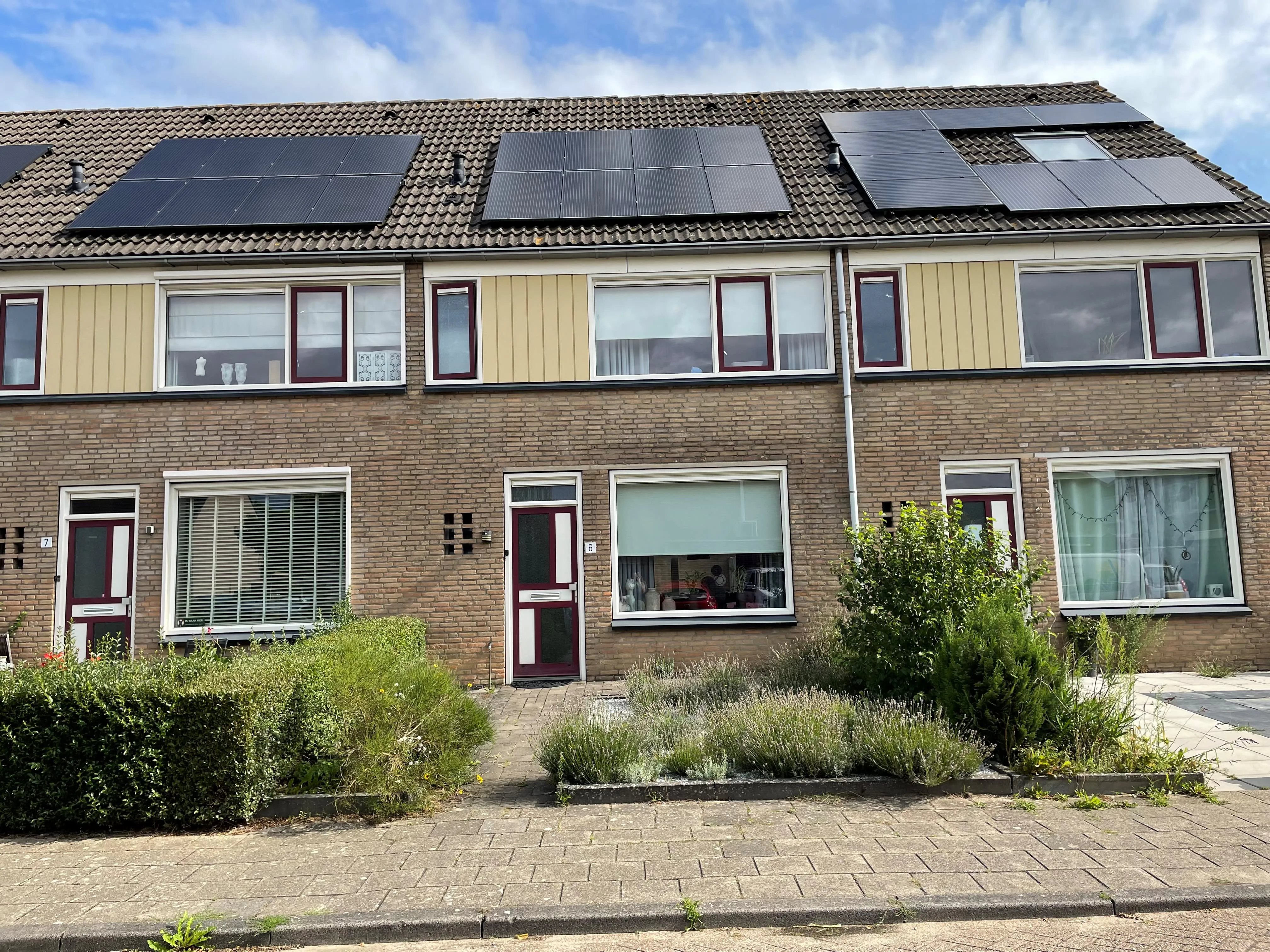 Tulpstraat