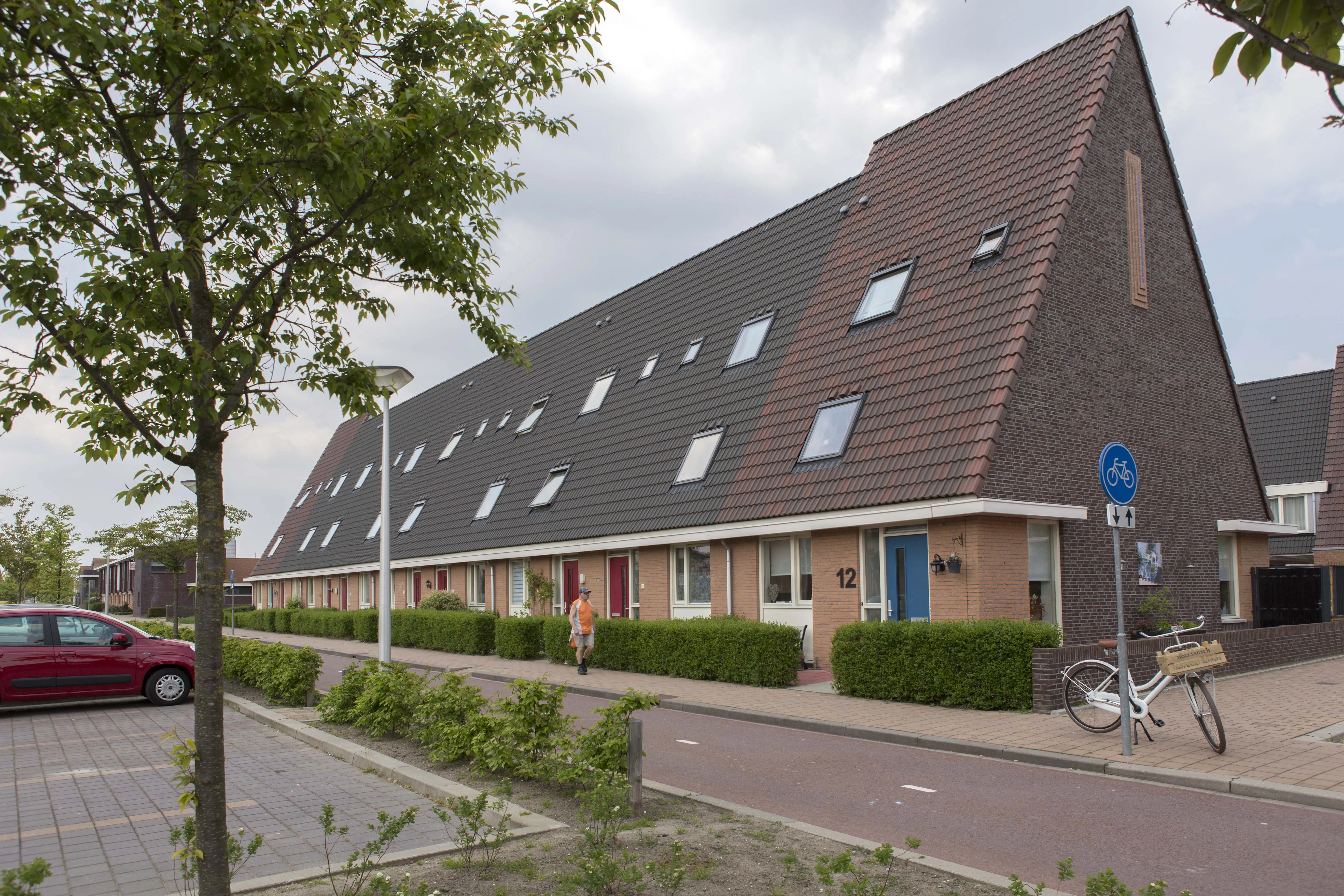 Druivengaarde