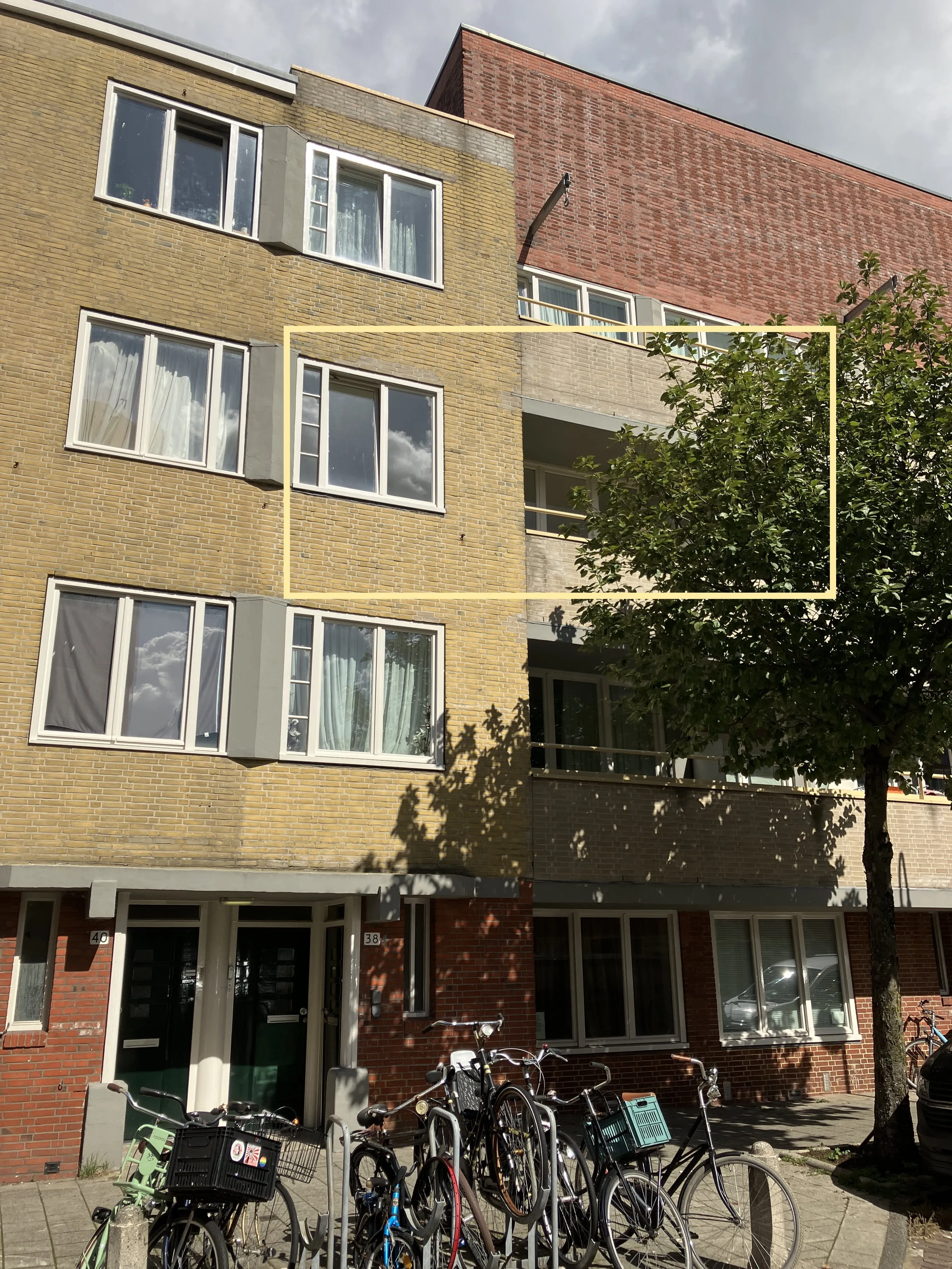 Meerkoet