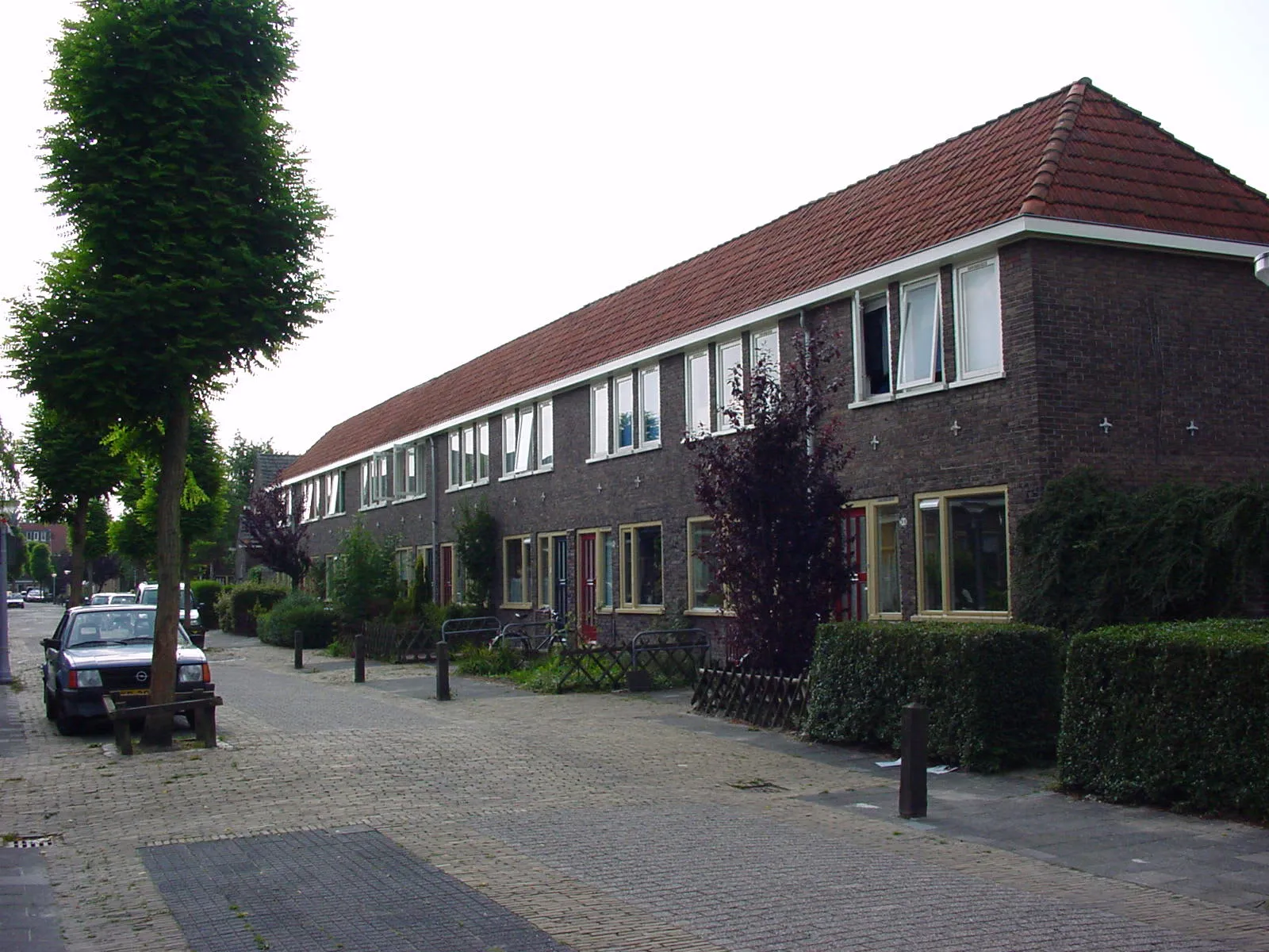 Kamperfoeliestraat