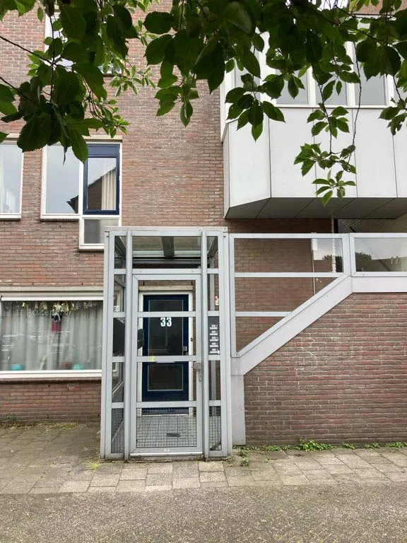 Adam van Harenstraat