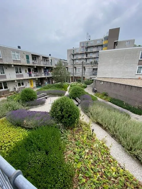 Boerhaaveplein