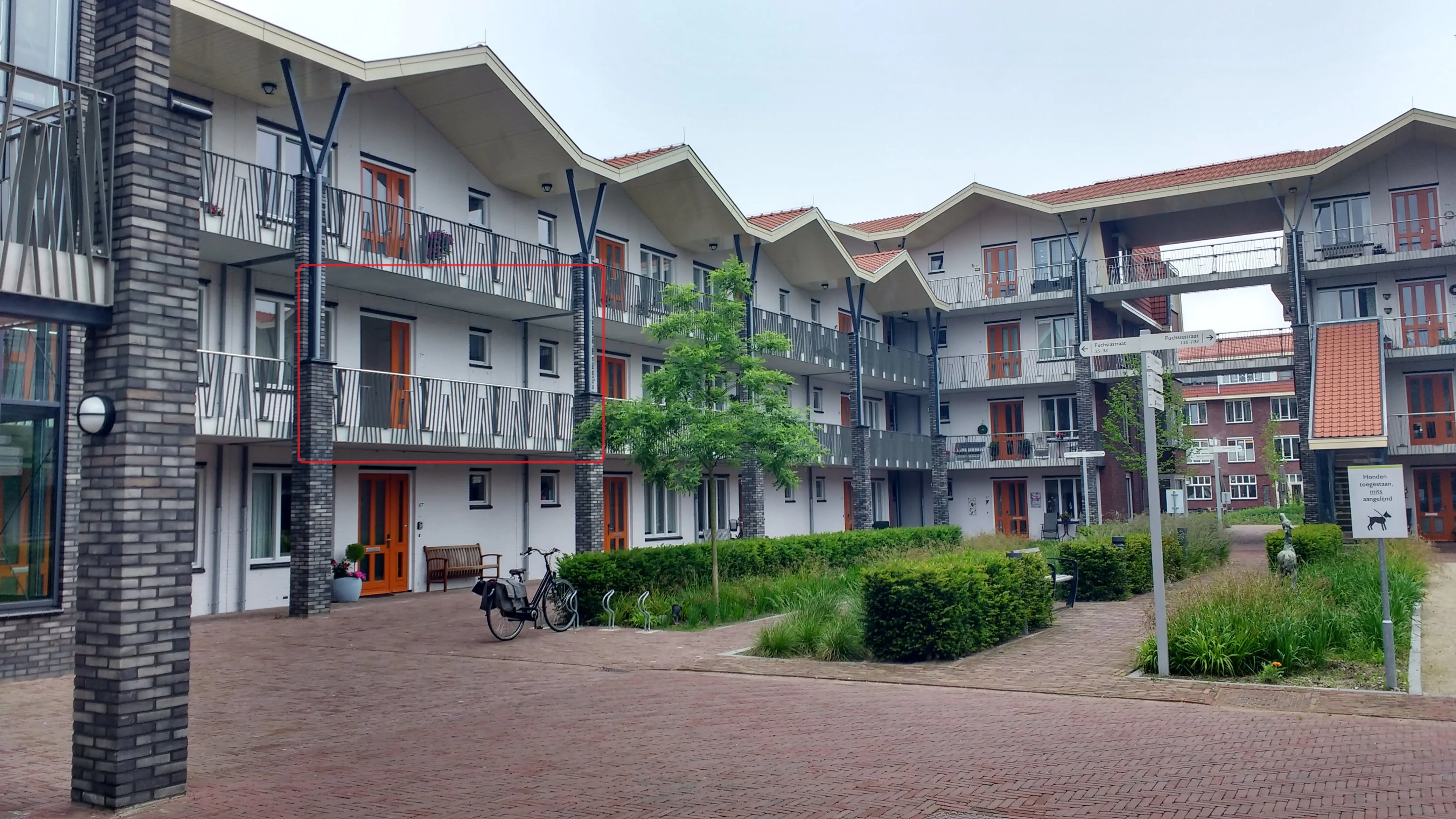 Fuchsiastraat