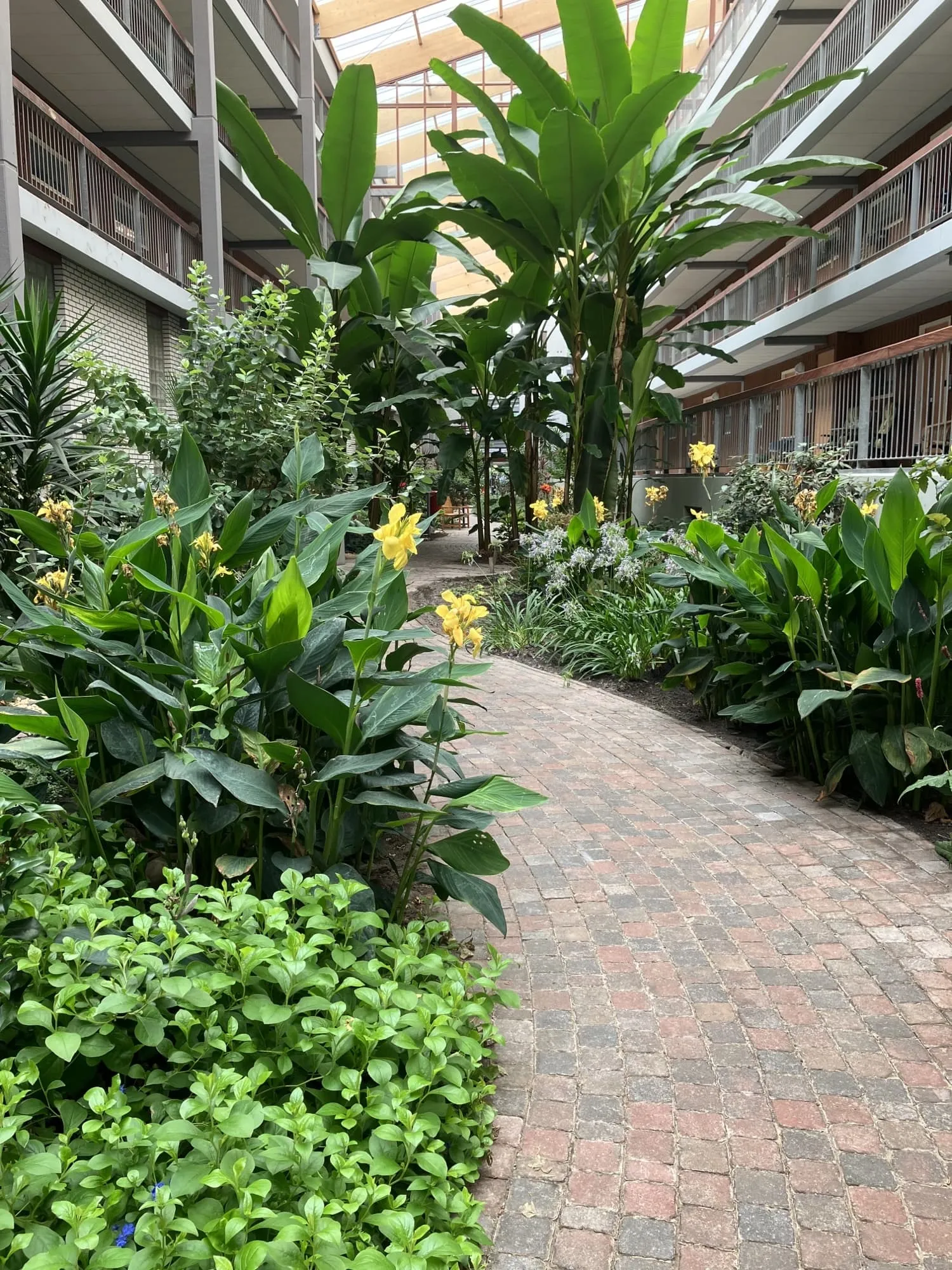 Praagsingel