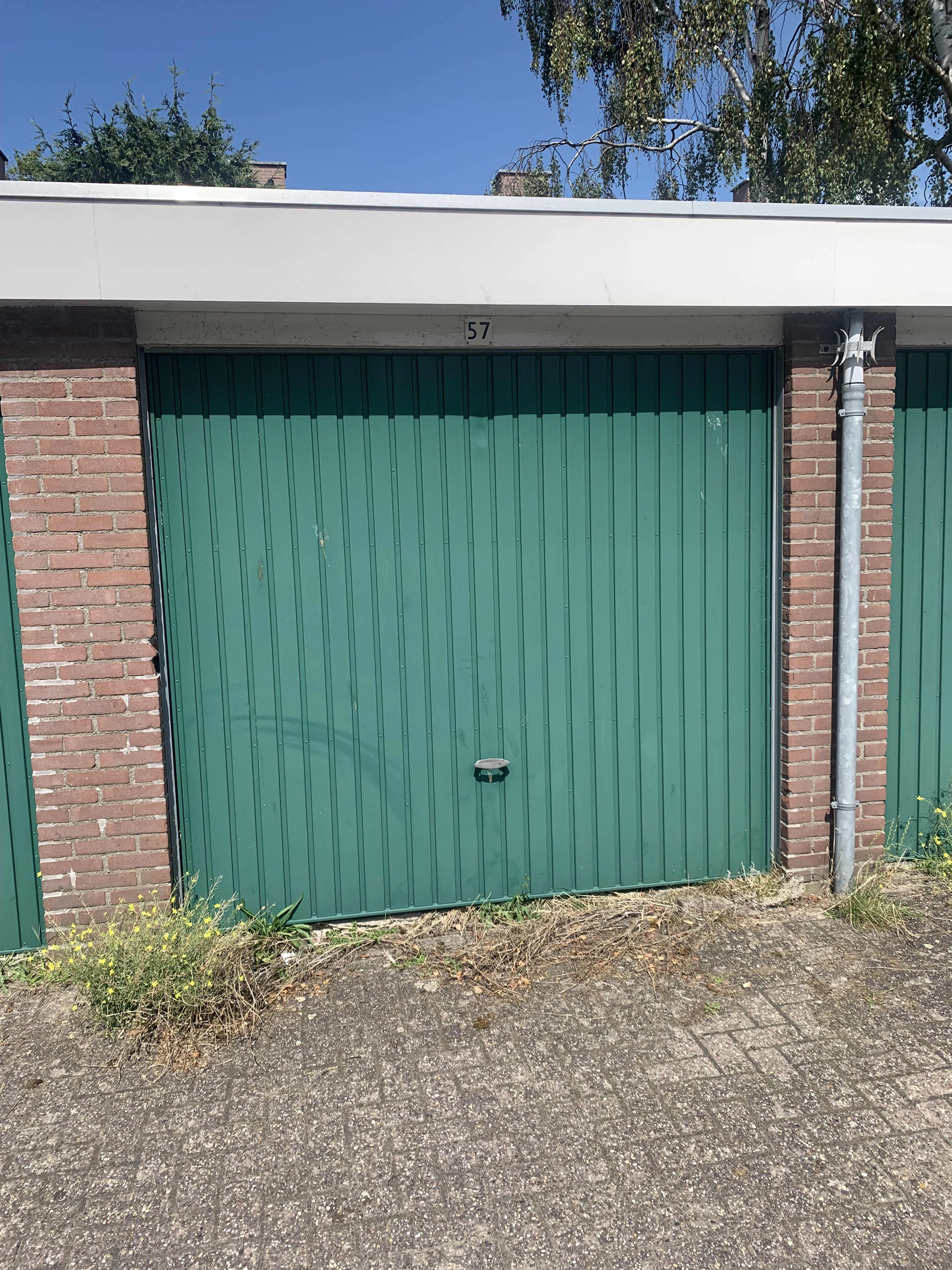Braillelaan
