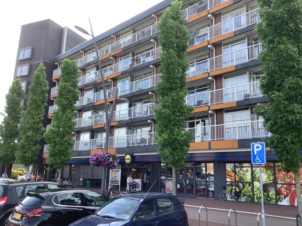 Wilgenplein