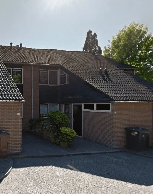 Korenbloem