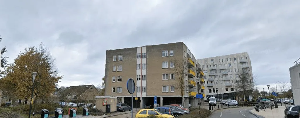 Bisonspoor