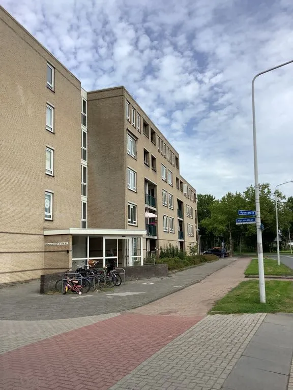 Platanenlaan