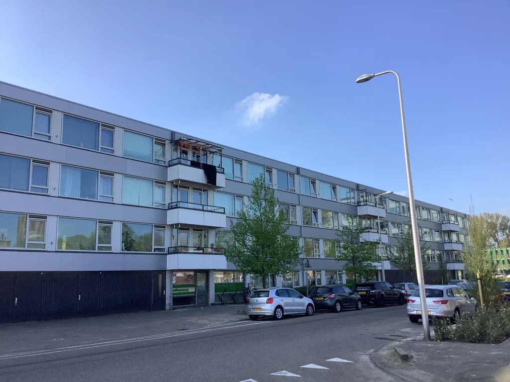 Elbedreef
