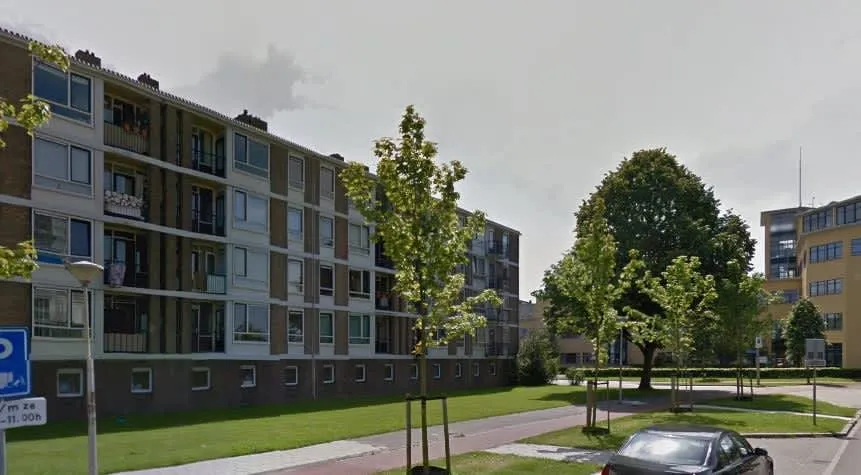 Van Randwijcklaan